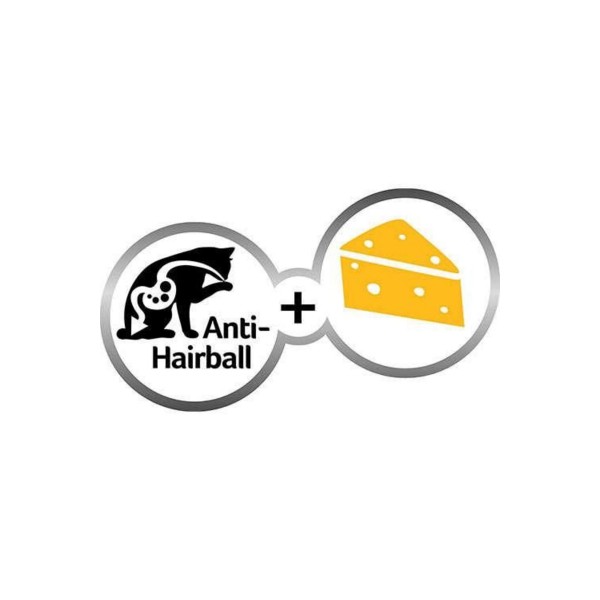 Anti - Hairball Duo Paste Peynirli Malt Kedi Macunu 50 Gr