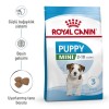 Royal Canin Mini Puppy Yavru Küçük Irk Köpek Maması 2 kg