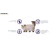 Advence Hairball Tüy Yumağı Önleyen Hindili Kısır Kedi Maması 1,5 Kg